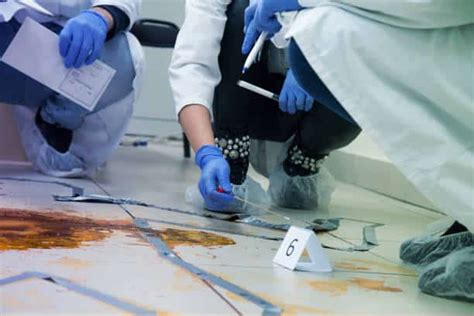 plm criminology|PLMAR: Criminology courses offered .
